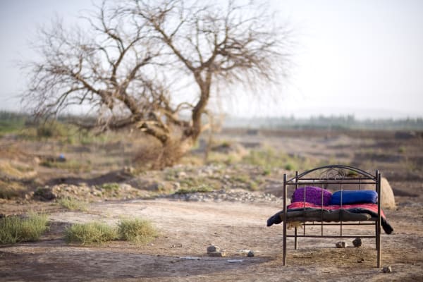 Lisa Ross Ancient Tree with Bed, 2013 Series: After Night, Beds archival pigment print on cotton rag paper 22 x 33 in 55.88 x 83.82 cm Edition of 5 plus 2 artist's proofs