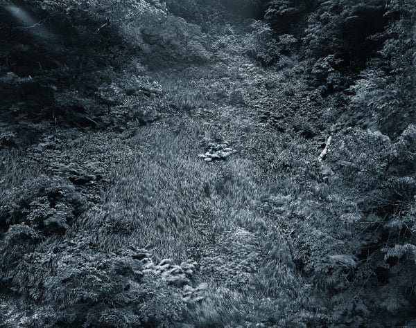 Yojiro Imasaka, Illuminating Earth 134 - C15 May 1, 2020, 2020