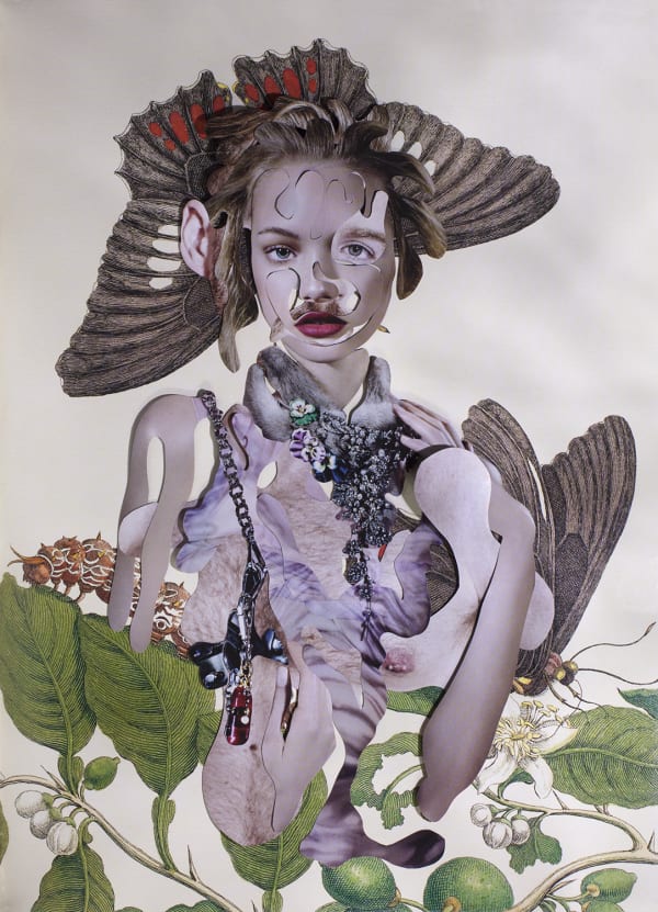 Dominique Paul, Insects of Surinam 28, 2017