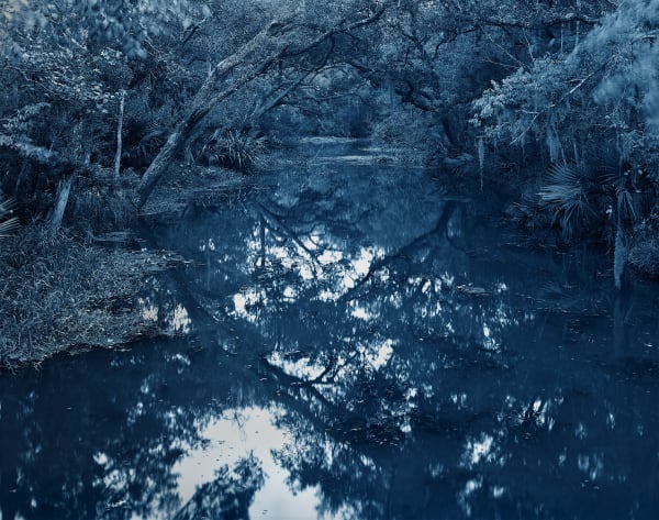 Yojiro Imasaka, Blue Bayou 39, 2015