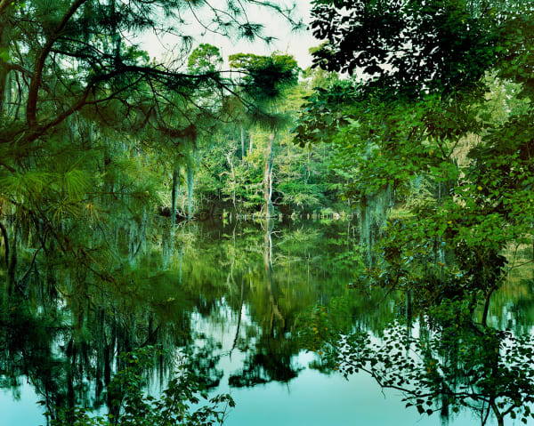 Yojiro Imasaka, Blue Bayou Color 01, 2015