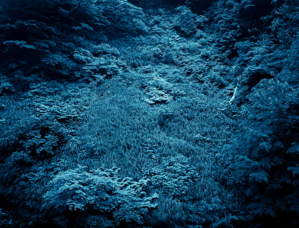 Yojiro Imasaka, Illuminating Earth 146 - C43 June 7, 2020, 2020