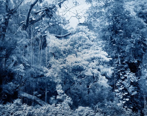 Yojiro Imasaka, Trade Winds 15, 2018