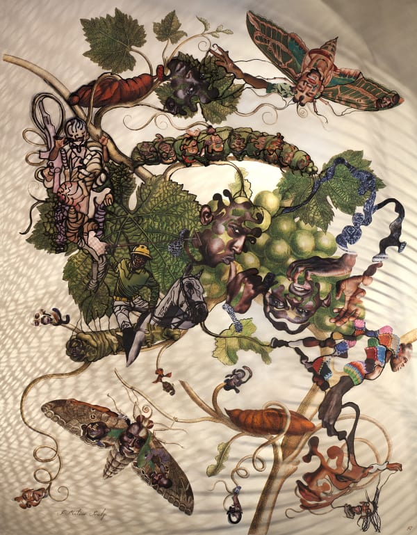 Insects of Surinam 29