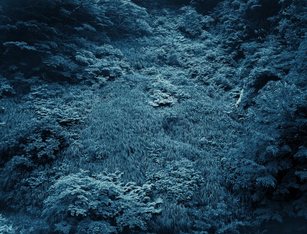 Yojiro Imasaka, Illuminating Earth 146 - C42 June 7, 2020, 2020