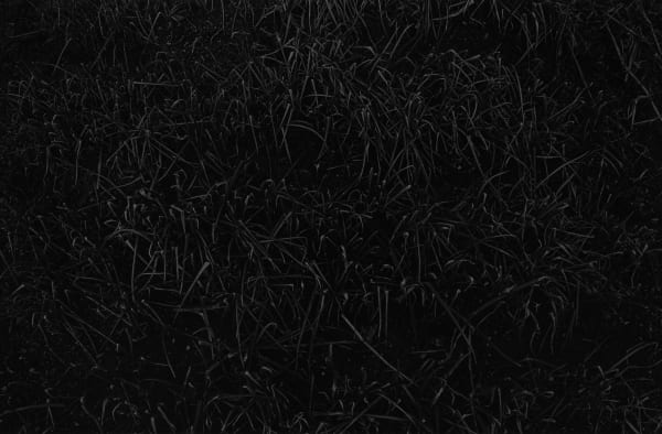 Joo Myung Duck, Ilsan, 1998