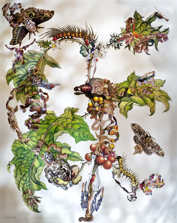 Dominique Paul, Insects of Surinam 20, 2014