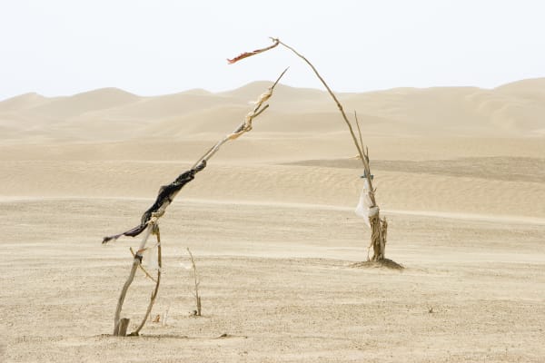 Lisa Ross, Unrevealed Site 2 (Dialogue Boundless), 2006