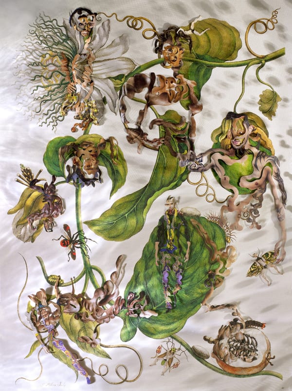 Dominique Paul, Insects of Surinam 22, 2014