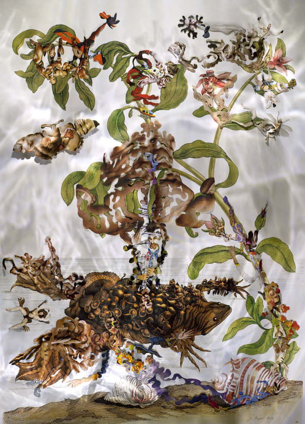 Dominique Paul, Insects of Surinam 21, 2014