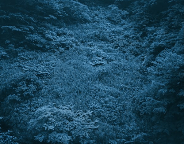 Yojiro Imasaka, Illuminating Earth 141 - C32 May 28, 2020, 2020