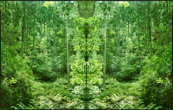 Yojiro Imasaka, Illuminating Earth 17, 2019