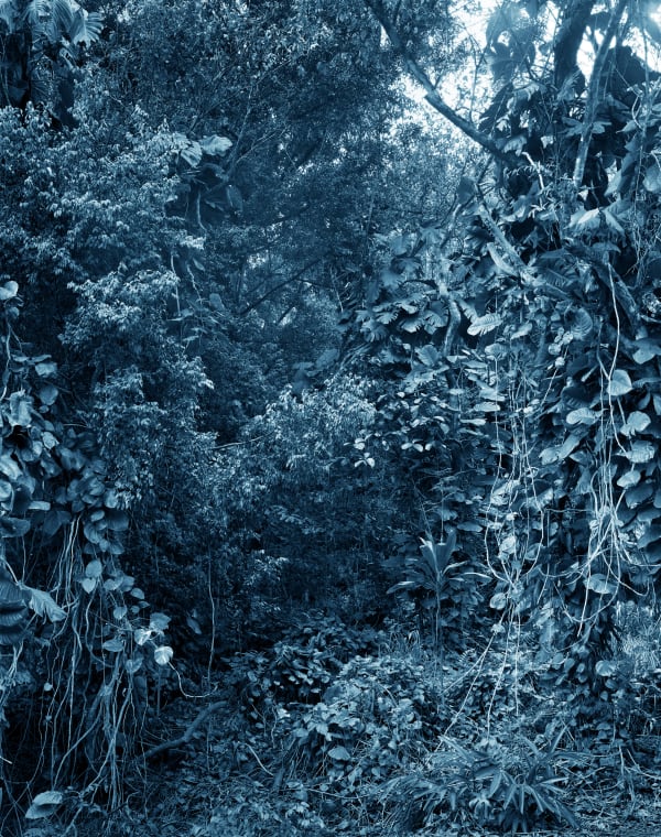 Yojiro Imasaka, Trade Winds 22 (Aqua 2), 2018