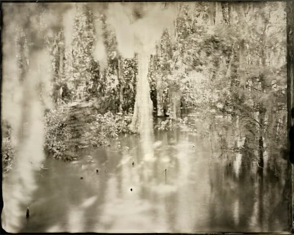Yojiro Imasaka, Wet Land 65, 2021