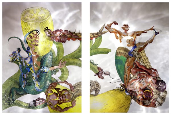 Dominique Paul, Insects of Surinam 07, 2013