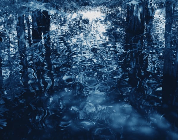 Yojiro Imasaka, Blue Bayou 37, 2016