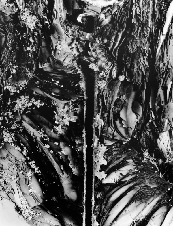 Hitoshi Fugo, KAMI 20, 2001