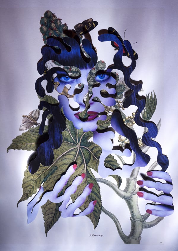 Dominique Paul Insects of Surinam 33, 2019 Series: Insects of Surinam Archival pigment print on Hahnemuhle cotton paper 20 x 14 1/8 in 50.8 x 35.6 cm Edition of 6 plus 2 artist's proofs
