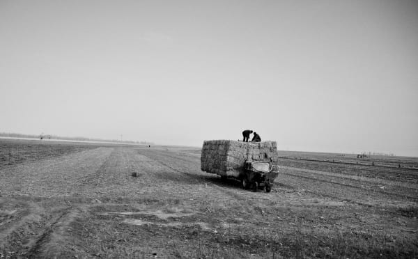Inner Mongolia