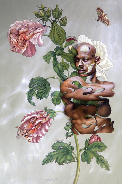 Dominique Paul Insects of Surinam 13, 2013 Series: Insects of Surinam Archival pigment print on Hahnemuhle Photo Rag 12 1/8 x 9 1/8 in 30.5 x 22.9 cm Edition of 6 plus 2 artist's proofs