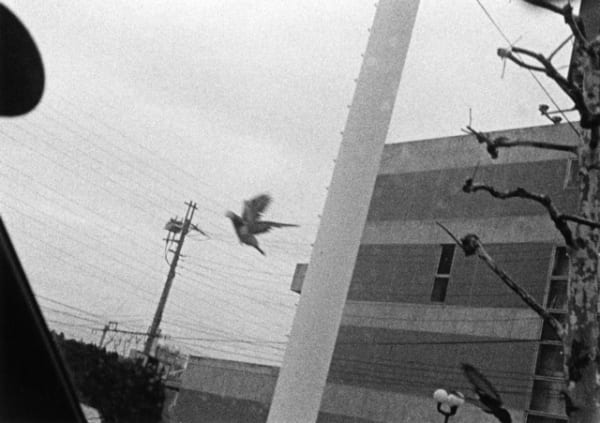 Issei Suda, Higashi-Oi, Shinagawa-ku, 1992, 1992