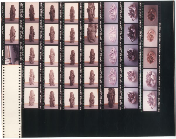 Mrinalini Mukherjee, LEAF TOTEM II AND FLORESCENCE I