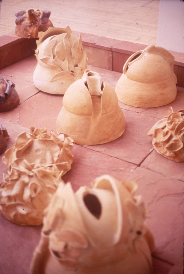 Mrinalini Mukherjee, LOTUS POND, 1995