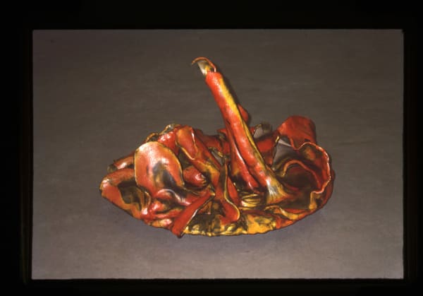 Mrinalini Mukherjee, FLORESCENCE I, 1996