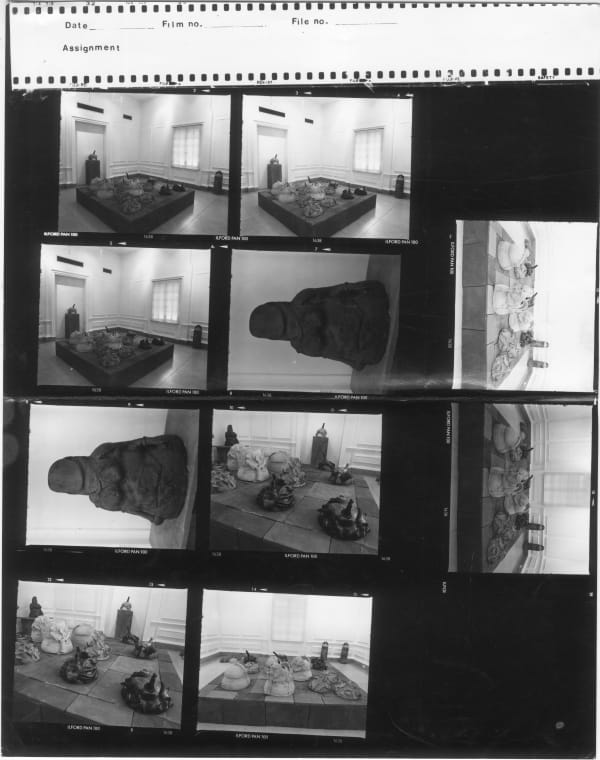 Mrinalini Mukherjee, LOTUS POND AND TORSO II