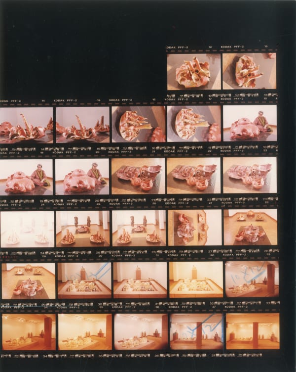 Mrinalini Mukherjee, LOTUS POND AND FLORESCENCE