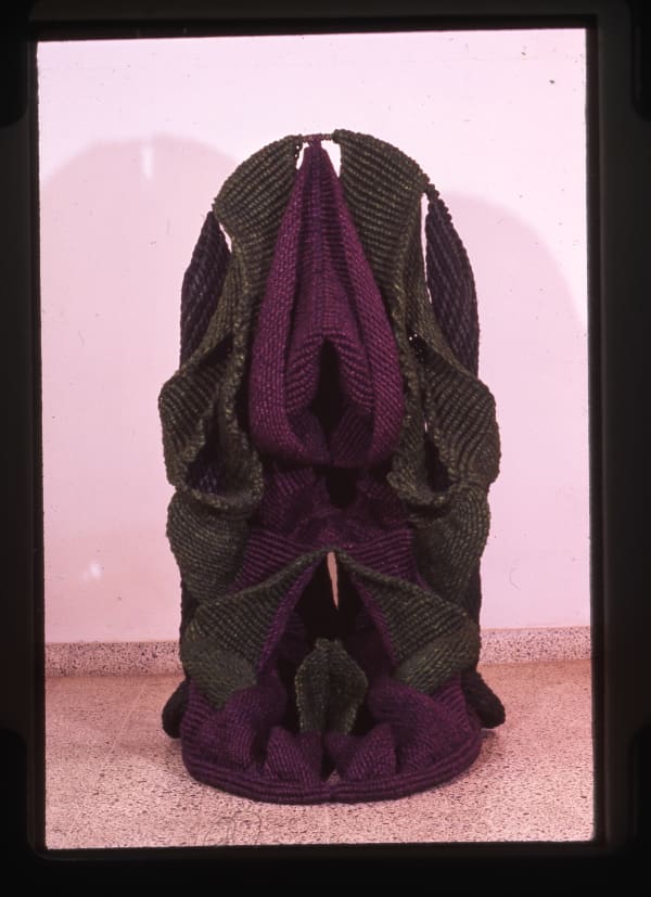 Mrinalini Mukherjee, JAMUNI, 2000