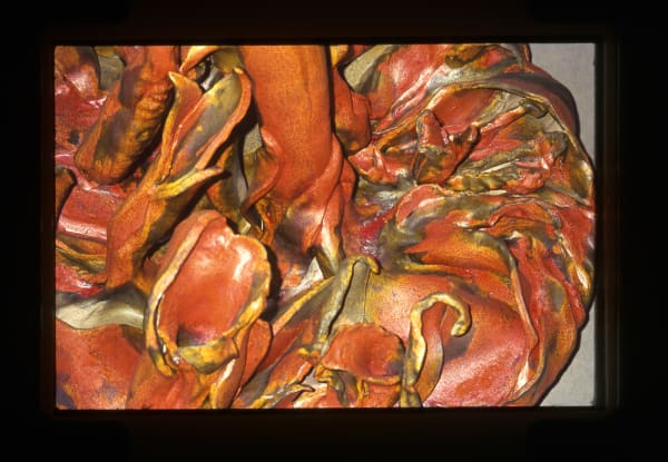 Mrinalini Mukherjee, FLORESCENCE II, 1996