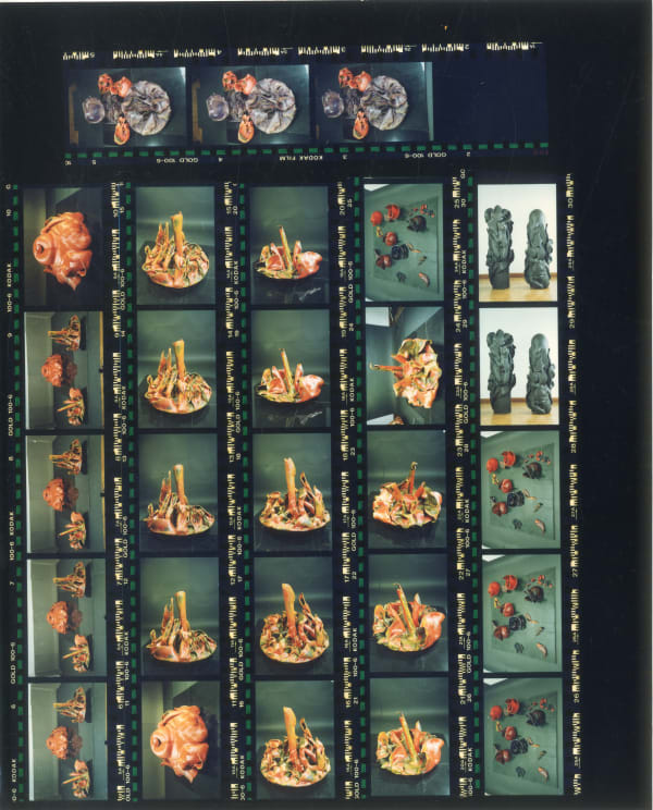 Mrinalini Mukherjee, EXHIBITED IN '97, LEAF TOTEM, FLORESCENCE II