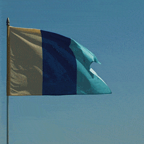 Roman Tolici, Negative Flags, 2023