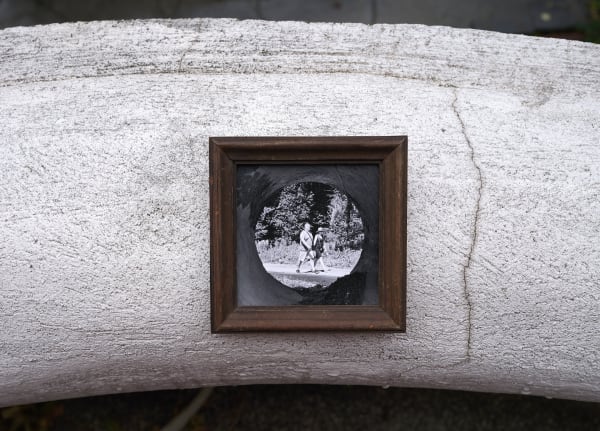 Bogdan Gîrbovan, POLIȘTOACA_2, 2024