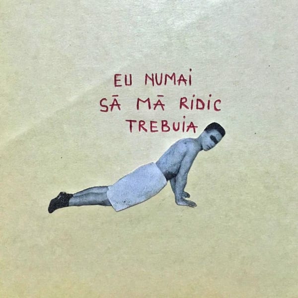 Beatrice Arzoiu, Eu numai să mă ridic trebuia, 2022