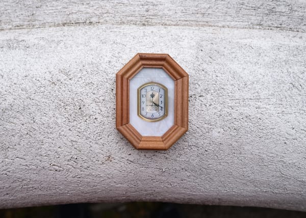 Bogdan Gîrbovan, NATURAL 16:20, 2024