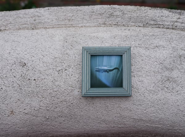 Bogdan Gîrbovan, CROCODIL, 2025