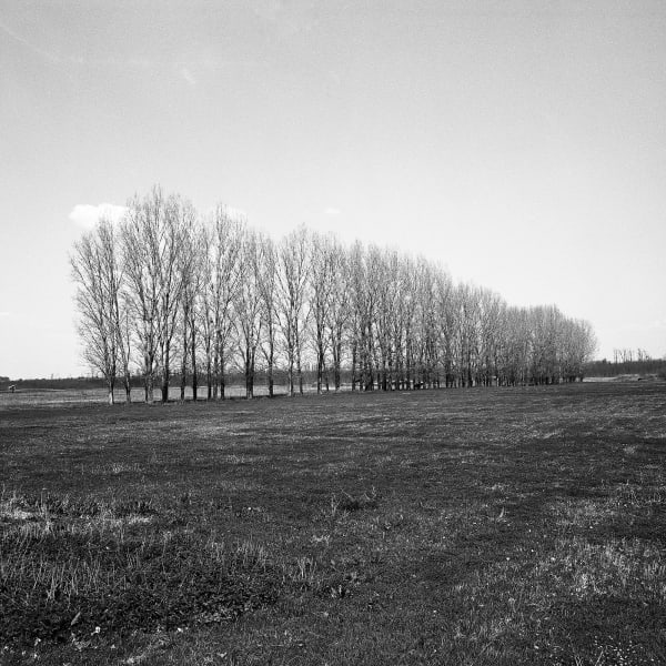 Bogdan Gîrbovan Dăncra Copaci, 2006 Fine Art inkjet Pigment Print on Hahnemuhle 100% cotton paper, museum glass ed. 4/10 6 x 6 cm (8 x 8 x 1 framed) Courtesy of Mobius Gallery