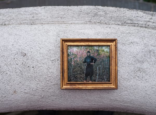 Bogdan Gîrbovan, UTA, 2012