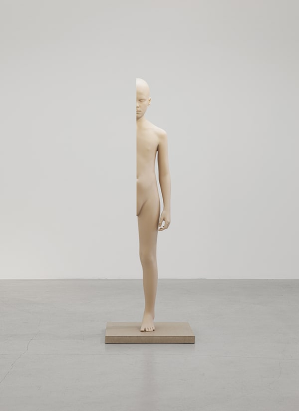 Anders Krisár, Half Boy , 2014