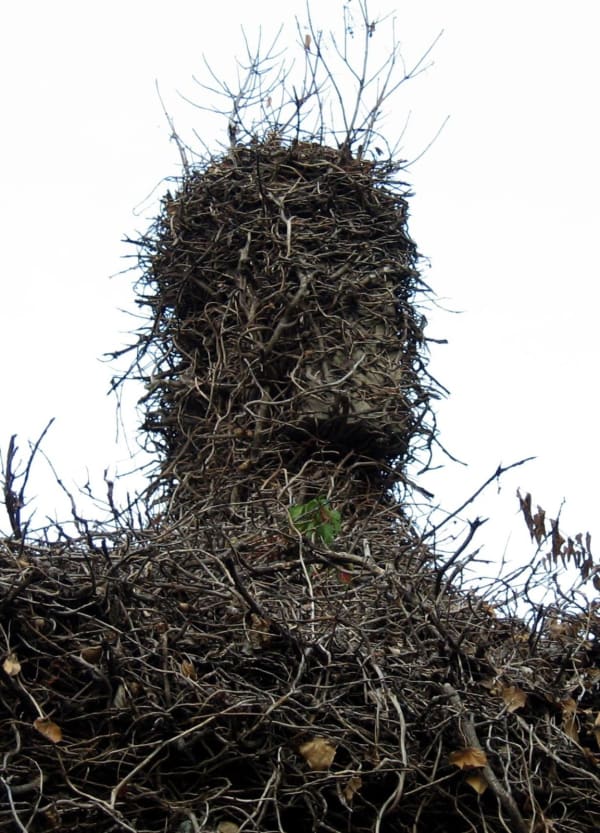 Mitoş Micleuşanu Untitled, 2025 matte paper mounted on 3 mm Dibond 30 x 21 cm Courtesy of Mobius Gallery