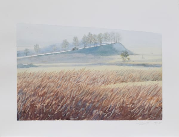 Roman Tolici, RUN, 2024