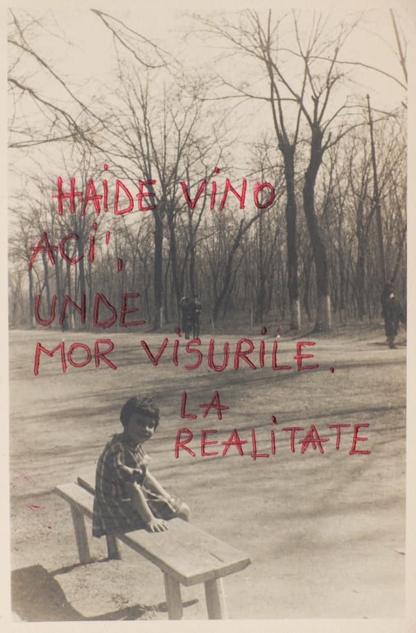 Beatrice Arzoiu, Haide vino aci', unde mor visurile la realitate, 2022