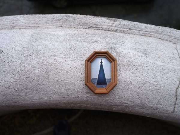 Bogdan Gîrbovan BRAD METALIC, 2010 Photography Fine Art inkjet Pigment Print on Hahnemuhle 100% cotton paper, museum glass ed. 1/10 5 x 7 cm Edition of 10 plus 1 artist's proof