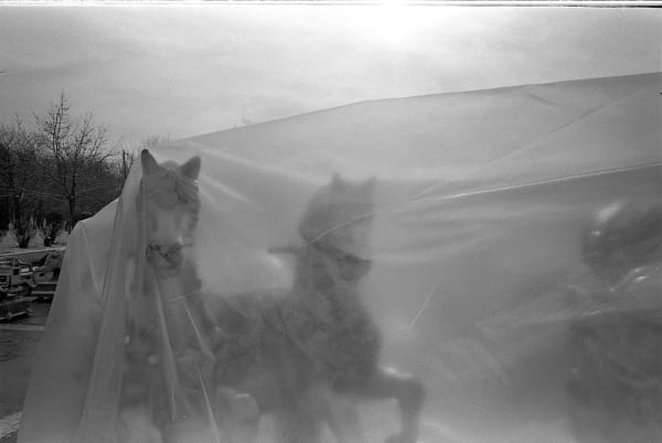 Michele Bressan Horses, 2009 Photography C-print mounted on 5mm alucobond, ed.1/3+1AP 100 x 75 cm Courtesy of Mobius Gallery Edition of 3 plus 1 artist's proof