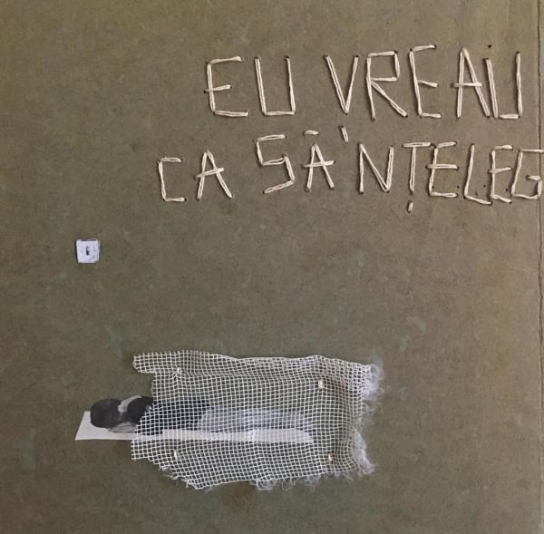 Beatrice Arzoiu, Eu vreau ca și 'nțeleg, 2022