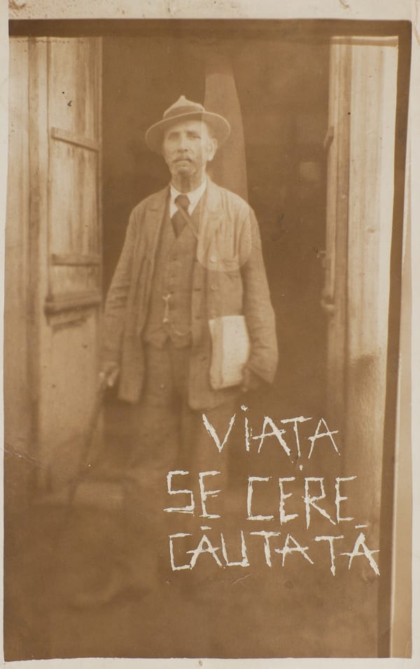 Beatrice Arzoiu, Viața se cere căutată, 2022