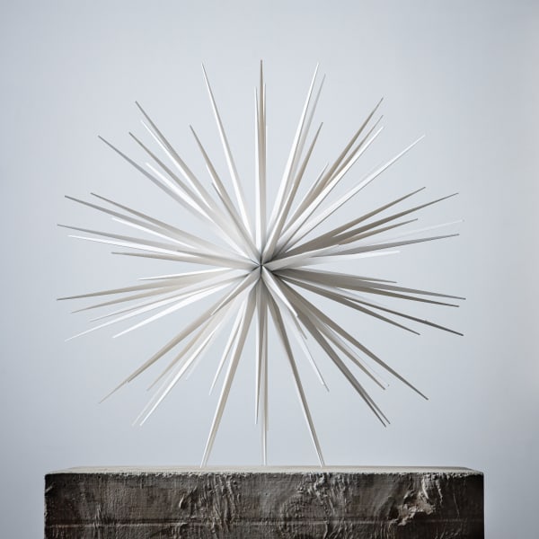 Norman Mooney, Windseed Edition No.3 , 2023