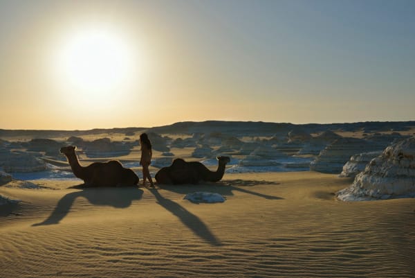 Miru Kim - White Desert, 2013